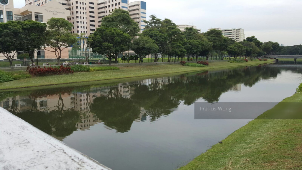 Potong Pasir Avenue 3 thumbnail photo